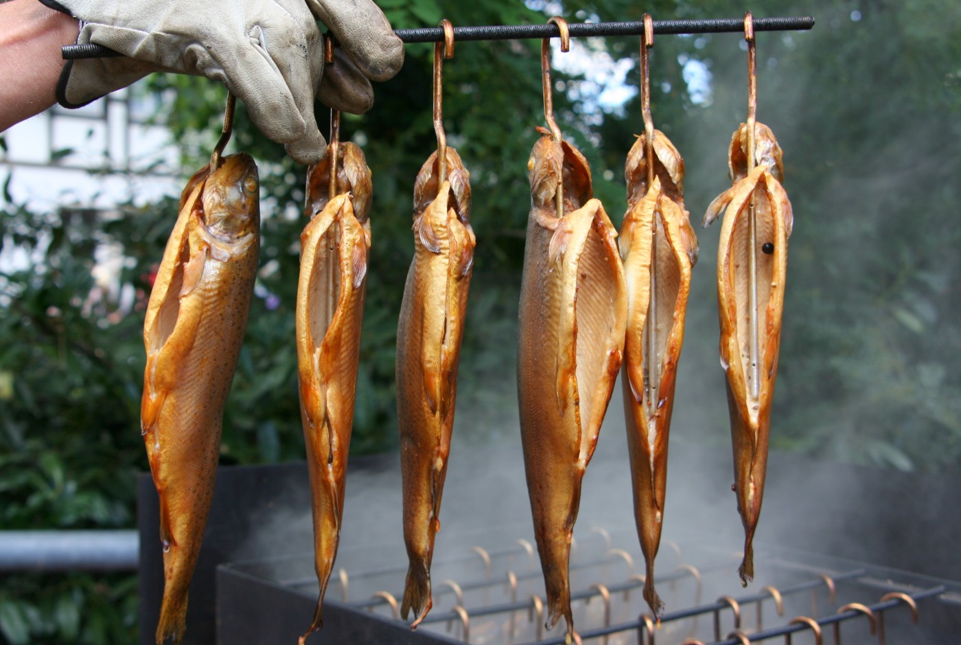 kaltraeuchern-02 kalt geräucherte forellen